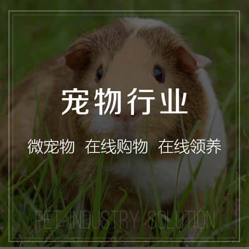 那曲宠物