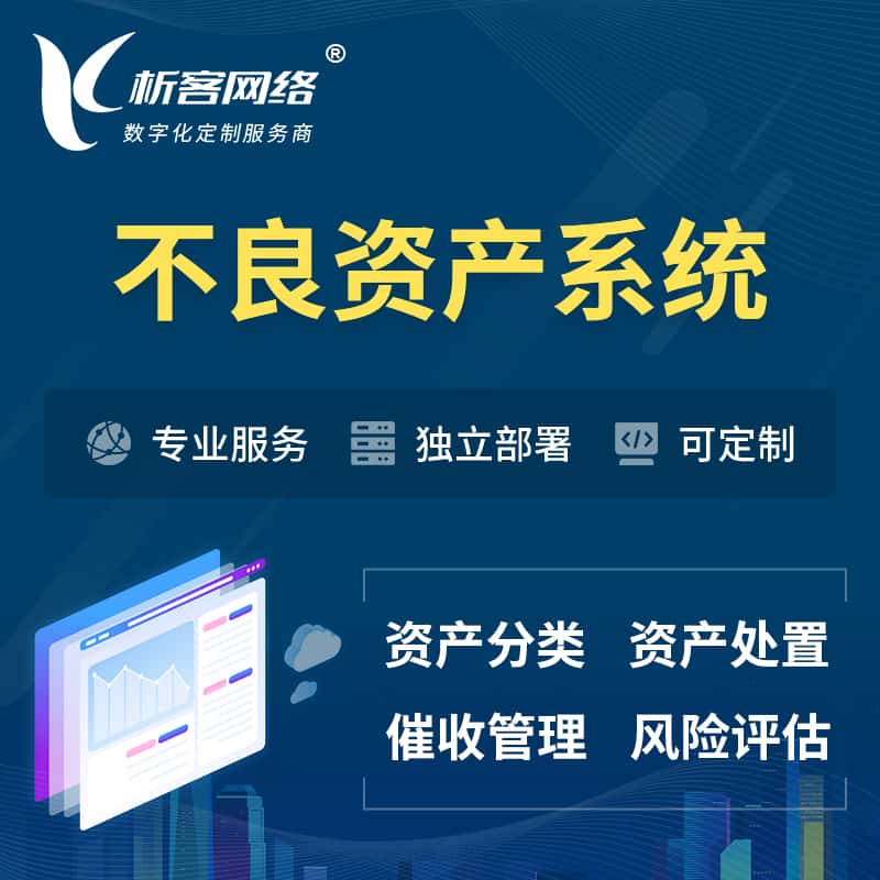 那曲不良资产管理系统