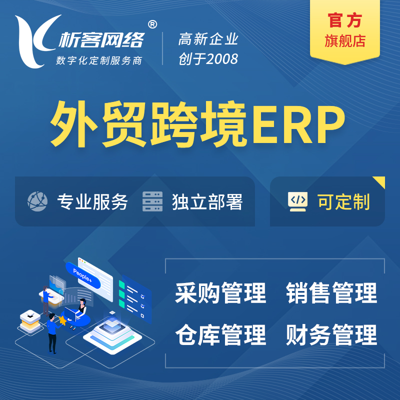 那曲外贸跨境ERP软件生产海外仓ERP管理系统